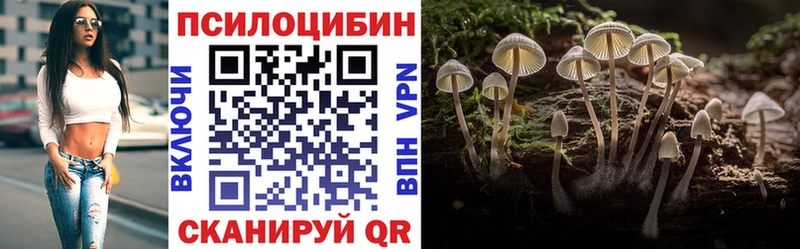 где купить наркоту  МЕГА ONION  Псилоцибиновые грибы прущие грибы  Южно-Сахалинск 