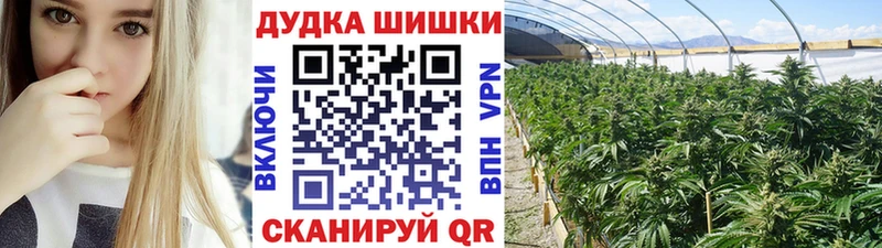 Марихуана SATIVA & INDICA  цены   Южно-Сахалинск 